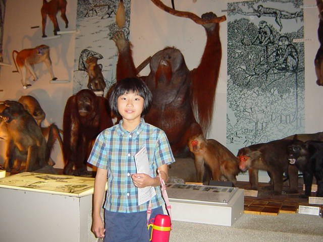 �R�����g