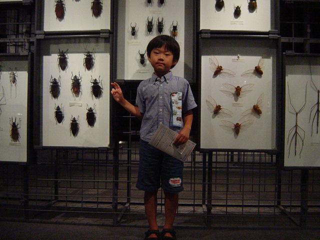 �R�����g