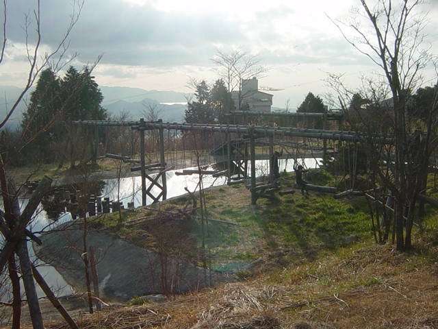 �R�����g