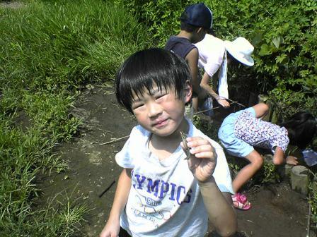 �R�����g