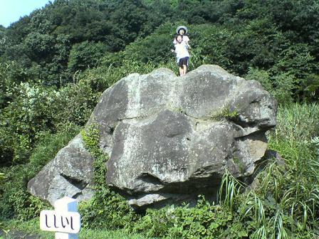 �R�����g