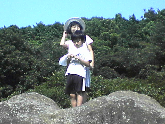 �R�����g