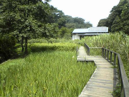 �R�����g