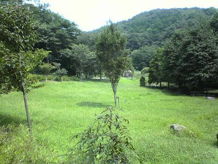 �R�����g