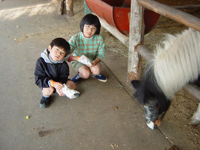 �R�����g