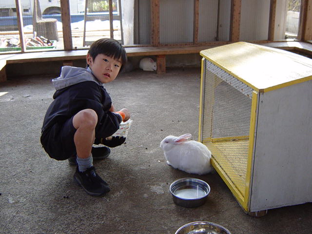 �R�����g