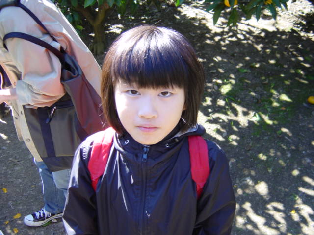 �R�����g