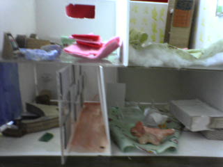 �h�[���n�E�X