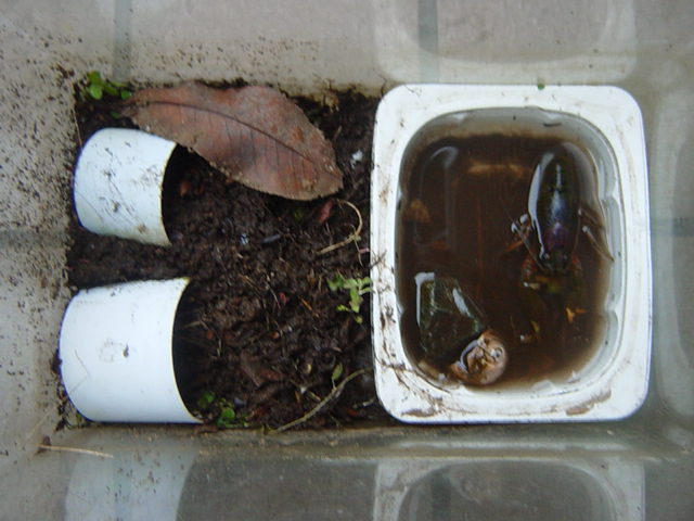 �U���K�j�̐���