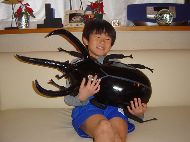 ���V�L���O