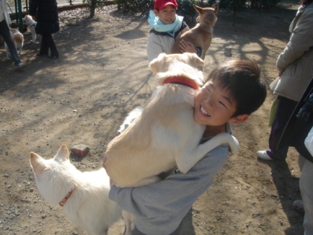 �h�b�O����