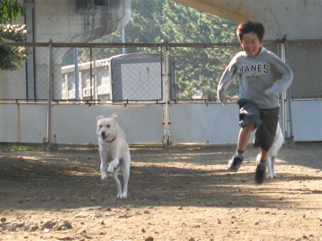 �h�b�O����