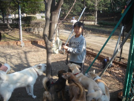 �h�b�O����