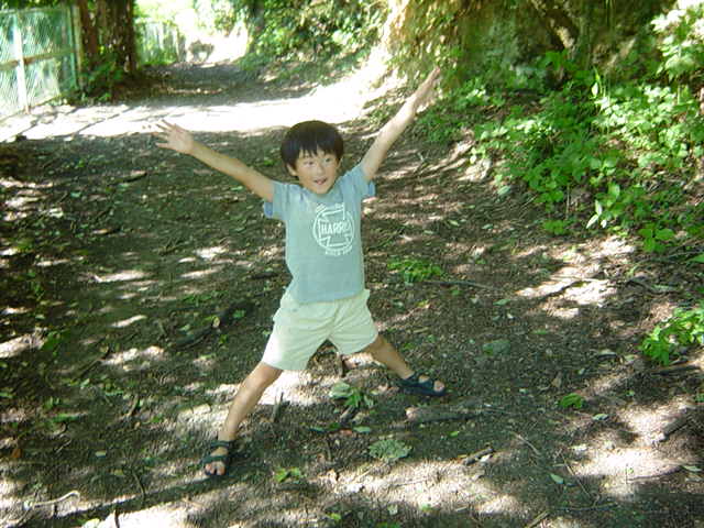 �ߏ��̎R��