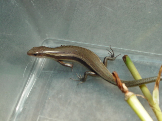 20cm�̂Ƃ���