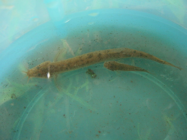 �h�W���E��2�Ђ�