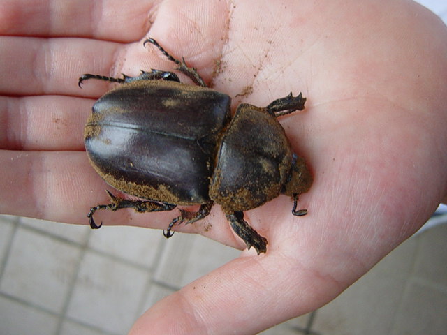 ���ԂƂ̃��X