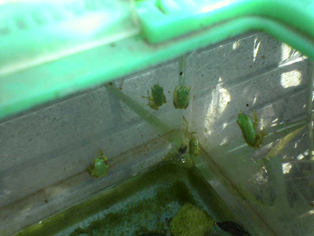 �A�}�K�G��