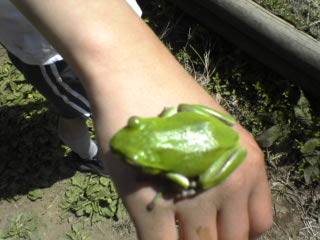 �V�����[�Q���A�I�K�G��