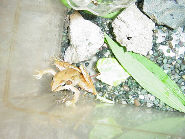 �A�J�K�G��