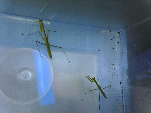 ���܂���