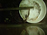 �R�����g