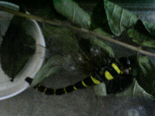 �I�j�����}