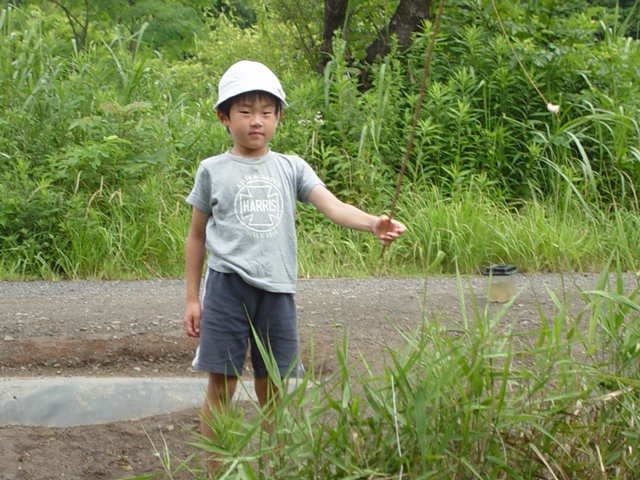 �U���K�j�ނ�