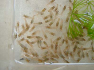 �������U���K�j