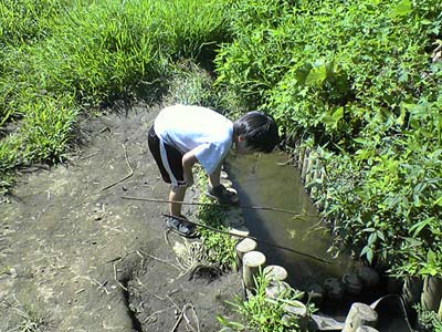 �R�����g