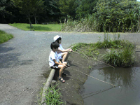 �R�����g