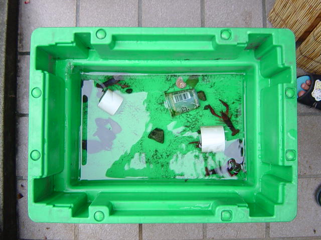 �U���K�j�̃v�[��