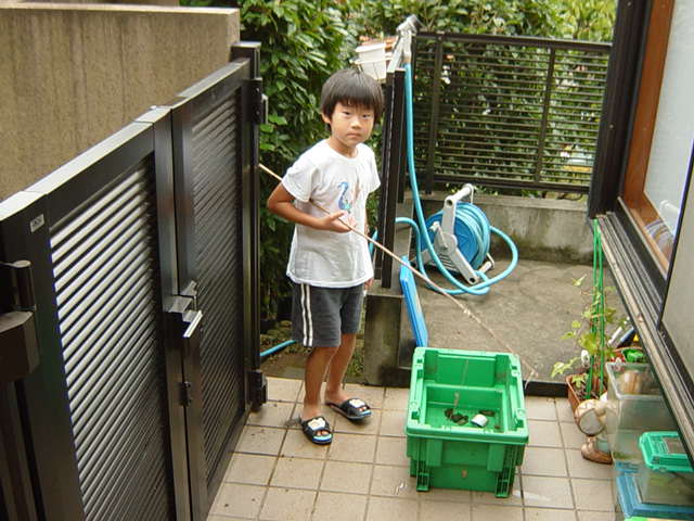 �U���K�j�ނ�