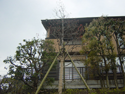 �R�����g