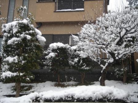 �R�����g