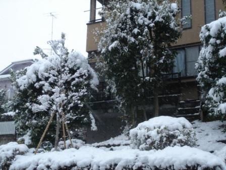 �R�����g