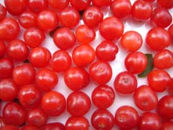 �R�����g