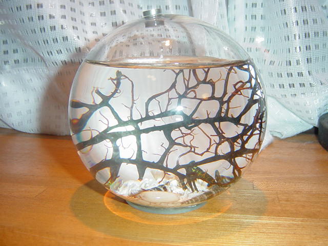 �r�[�`���[���h